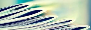 ESP Consulting Publications